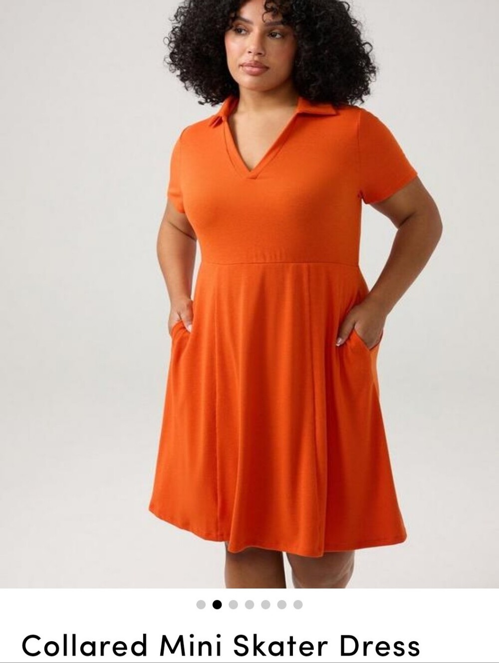 Torrid Collared Mini Skater Dress